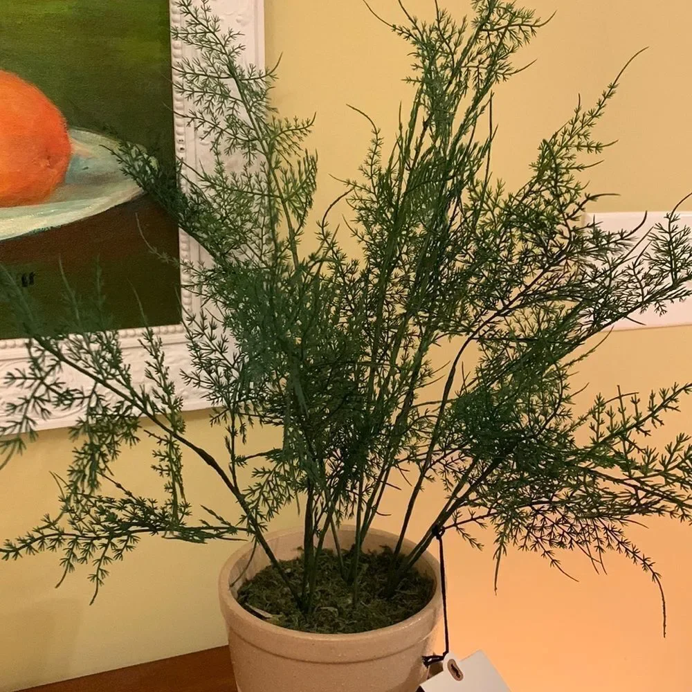 Hearth & Hand faux fern potted plant 18.5” X 22” NEW & firm price